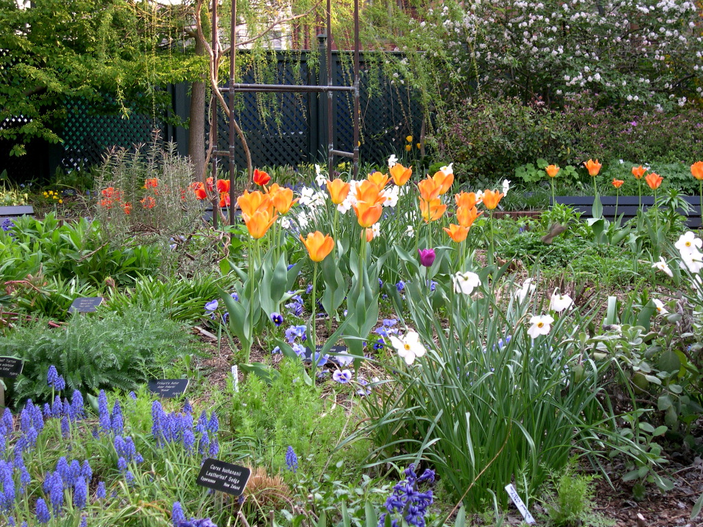 Washington D.C. - The Mall - Smithsonian Garden 5