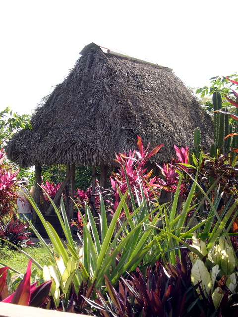 Palm-Roofed Hut