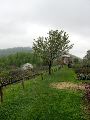 Charlottesville - Montecello - Vineyards and Vegetable Gardens