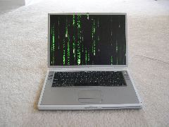 DSCN1373.JPG